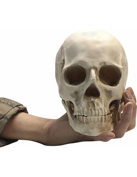 Calavera Humana de Resina SOACH 1:1 para Decoración Halloween