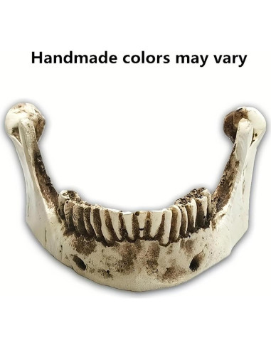 Calavera Humana de Resina SOACH 1:1 para Decoración Halloween