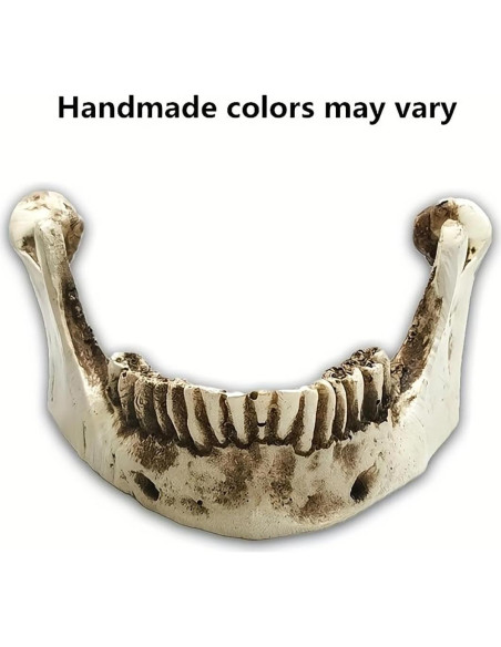 Calavera Humana de Resina SOACH 1:1 para Decoración Halloween