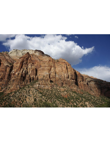 Objetivo Sony 24-70mm f/2.8 Carl Zeiss SSM para DSLR