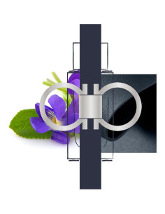 Agua de Tocador para Hombre Ferragamo 29.57 ml - Fragancia Amaderada 2