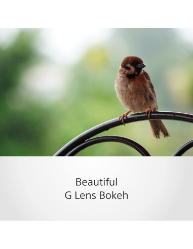 Lente Sony SEL70350G E-Mount 350mm Super-Telefoto Zoom