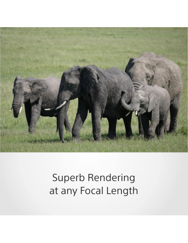 Lente Sony SEL70350G E-Mount 350mm Super-Telefoto Zoom