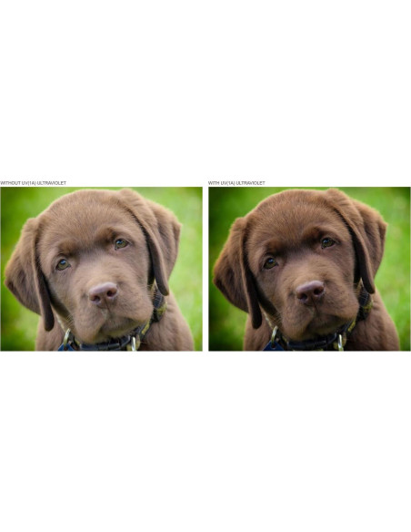 Kit de Filtros de Lente 3 Piezas Digital Nc para Leica 39mm