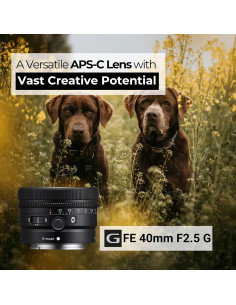 Lente Sony SEL40F25G FE 40mm f/2.5 G Ultra-Compacto 2