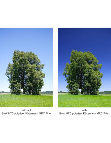 Filtro Polarizador Circular MRC B+W 46mm para Fotografía