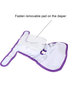 Pañales Reutilizables para Perros Hembras Teamoy S 2