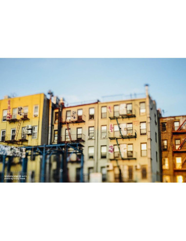 Objetivo Composer Pro II Lensbaby 50mm f/3.2 Inclinación