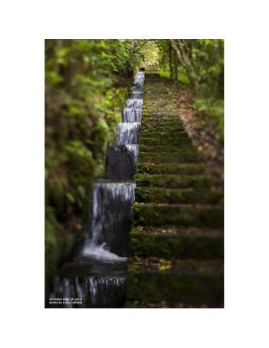 Objetivo Composer Pro II Lensbaby 50mm f/3.2 Inclinación