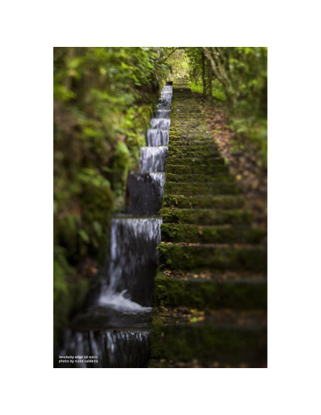 Objetivo Composer Pro II Lensbaby 50mm f/3.2 Inclinación