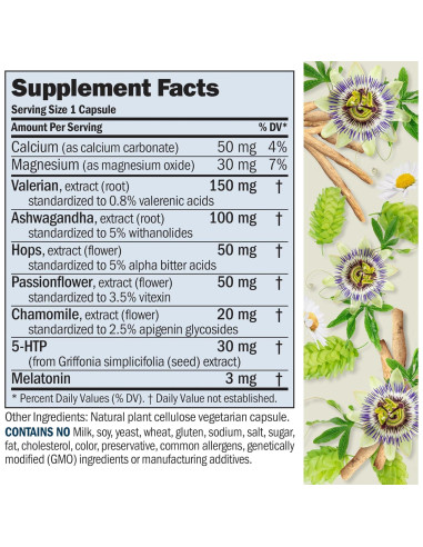 Cápsulas Noche Tiempo Andrew Lessman 60 Unidades Melatonina