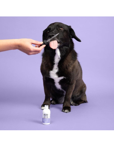 Gotas de Melatonina y Aceite de Cáñamo Zoomi Pets 59ml