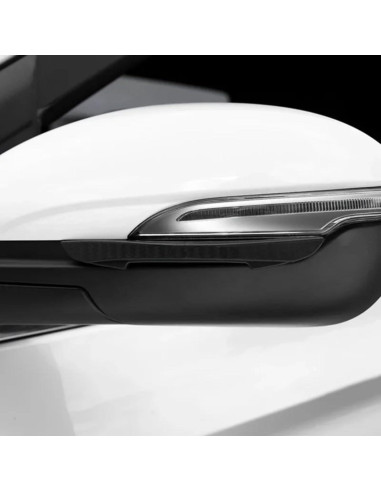 Protector de Puerta de Coche Genérico Anticolisión 4 Piezas