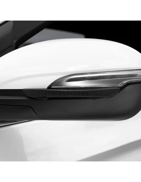 Protector de Puerta de Coche Genérico Anticolisión 4 Piezas