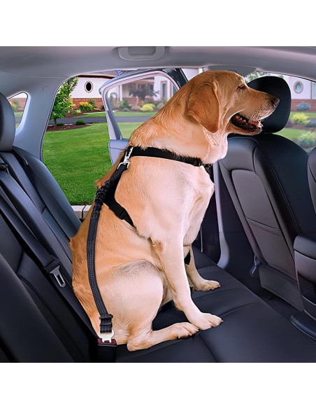 Cinturón de Seguridad para Perros Aerkersun Ajustable Negro