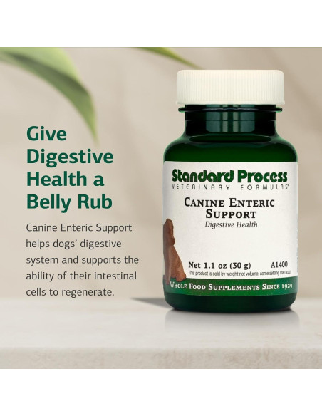 Suplemento Digestivo Canino Standard Process 30 g - Salud Intestinal