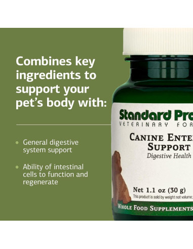 Suplemento Digestivo Canino Standard Process 30 g - Salud Intestinal