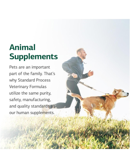 Suplemento Digestivo Canino Standard Process 30 g - Salud Intestinal