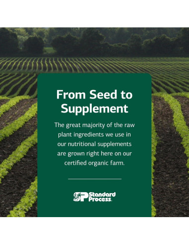 Suplemento Digestivo Canino Standard Process 30 g - Salud Intestinal