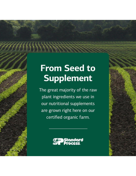 Suplemento Digestivo Canino Standard Process 30 g - Salud Intestinal