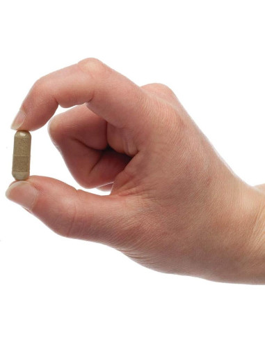 Suplemento Herbal PetAlive para Piel y Pelaje - 60 Cápsulas