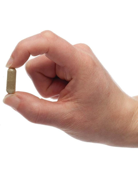 Suplemento Herbal PetAlive para Piel y Pelaje - 60 Cápsulas