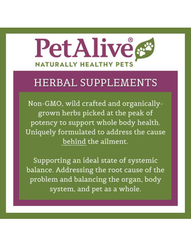 Suplemento Herbal PetAlive para Piel y Pelaje - 60 Cápsulas