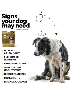 Multivitamina Suave para Perros ANP 60 Masticables CoQ10 Probioticos 2