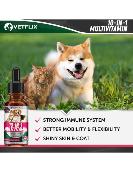 Vitaminas para Mascotas Vetflix 10 en 1 - Glucosamina 59 ml