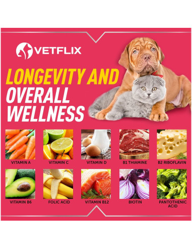 Vitaminas para Mascotas Vetflix 10 en 1 - Glucosamina 59 ml