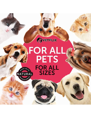 Vitaminas para Mascotas Vetflix 10 en 1 - Glucosamina 59 ml