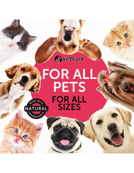 Vitaminas para Mascotas Vetflix 10 en 1 - Glucosamina 59 ml
