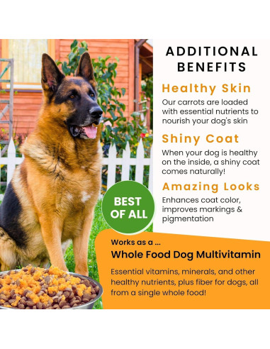 Olewo Zanahorias Deshidratadas para Perros 0.45 kg - Soporte Digestivo y Piel Saludable