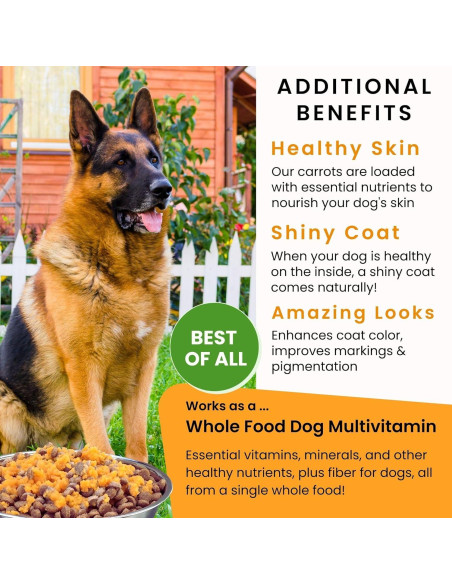 Olewo Zanahorias Deshidratadas para Perros 0.45 kg - Soporte Digestivo y Piel Saludable