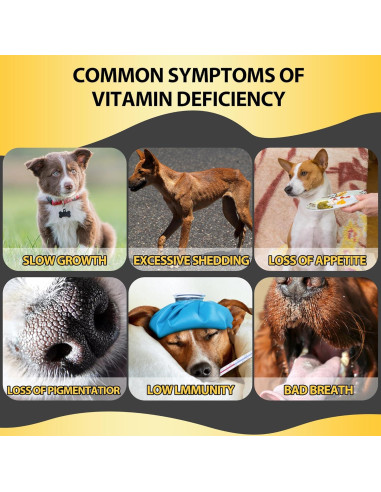 Multivitamina Líquida para Perros Premier Pet 60ml 13 en 1