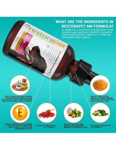 RestoraPet Suplemento Multivitamínico Líquido para Perros y Gatos - 4 Botellas de 59 ml