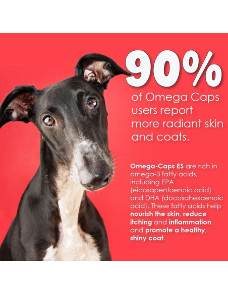 Suplemento Omega-3 y Omega-6 para Perros y Gatos 236.6 ml