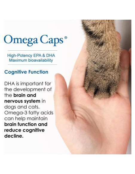 Suplemento Omega-3 y Omega-6 para Perros y Gatos 236.6 ml