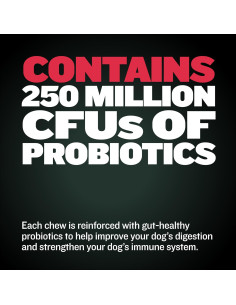 Masticables Gainer de Peso Bully Max 75 Unidades para Perros 2