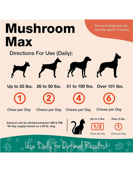 Suplemento Inmunológico para Perros NaturVet 60 Masticables