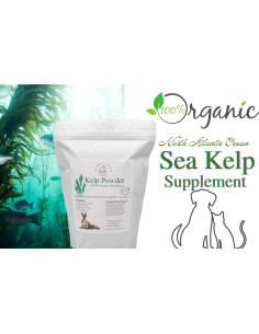 Polvo de Kelp Natural para Perros y Gatos Natures Vitality 425g 2