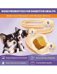 Probioticos Liofilizados para Perros Nature Target 180 Unidades 2