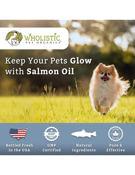 Aceite de Salmón Salvaje Wholistic Pet 500 Geles para Perros