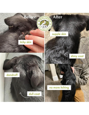 Aceite de Salmón Salvaje Wholistic Pet 500 Geles para Perros