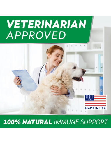 Masticables para Alergias en Perros StrellaLab 240 Ct - Omega 3