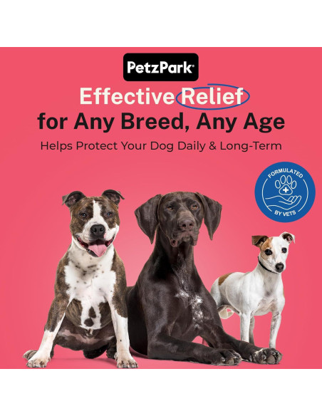 Suplemento de Glucosamina Petz Park 800mg - 45 Cucharadas