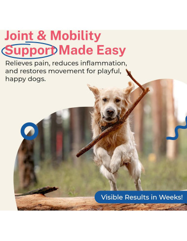 Suplemento de Glucosamina Petz Park 800mg - 45 Cucharadas