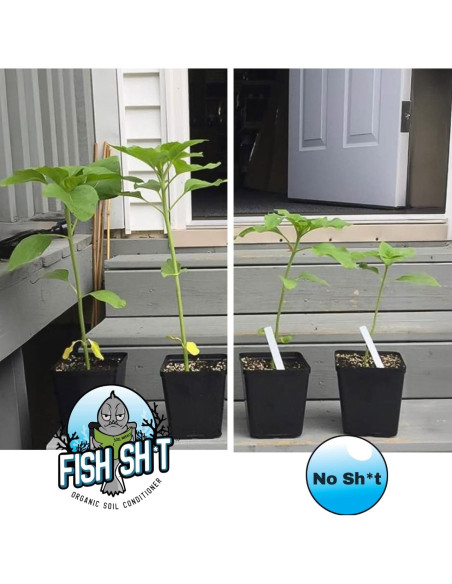 Acondicionador de Suelo Orgánico Fish Head Farms 120ml - Mejora Rendimiento y Sabor