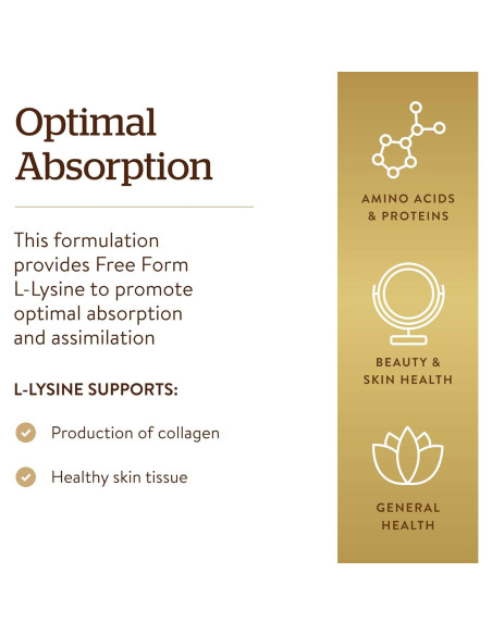 Solgar L-Lisina 500 mg 250 Cápsulas Vegetales - Soporte Colágeno