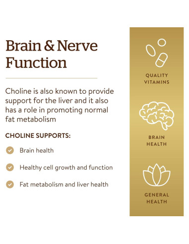 Suplemento de Colina Solgar 350 mg - 100 Cápsulas Veganas
